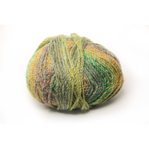 Corneeltje Wol - MC100