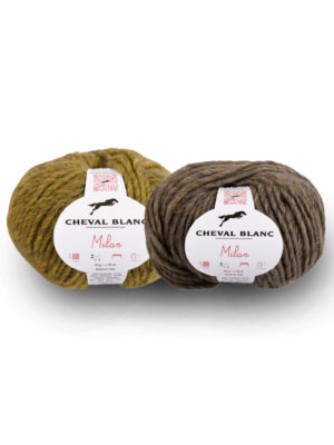 Corneeltje Wol - Beijer - Cheval Blanc - Cover Cheval Blanc - Milan