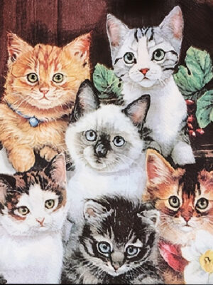 Corneeltje Wol - Kittens Servet Dieren - Kittens 33x33cm