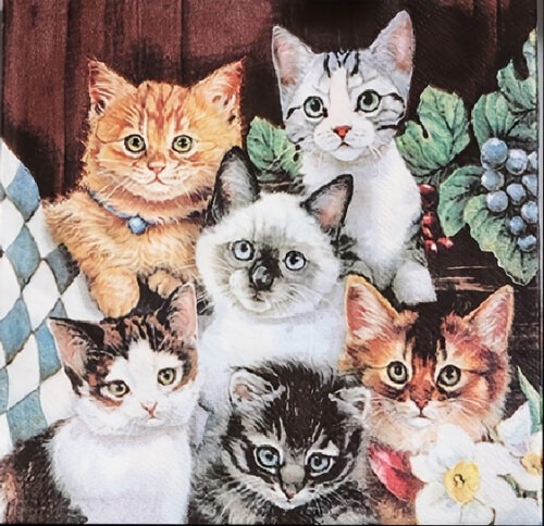 Servet Dieren - Kittens 33x33cm
