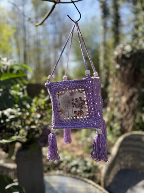 Haakpakket - Lampion Victory Paars