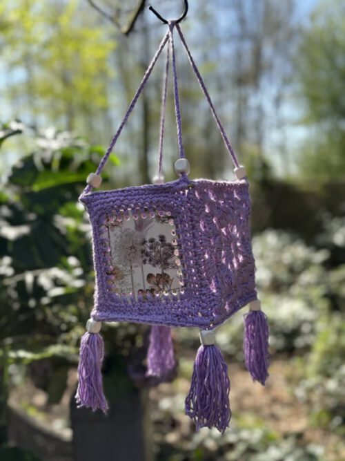 Haakpakket - Lampion Victory Paars