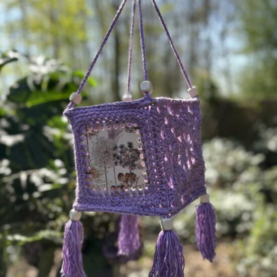 Haakpakket - Lampion Victory Paars