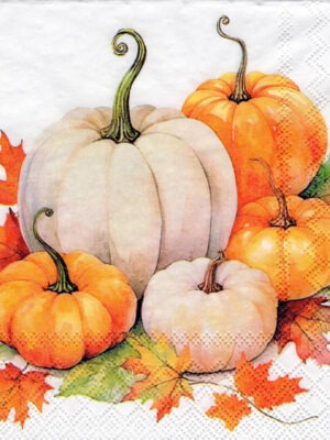 Servet Herfst - Raccoon With Pumpkins - H0007 - 33x33cm
