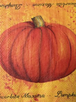 Servet Herfst - Herfst pompoen - H0016 - 33 x 33 cm