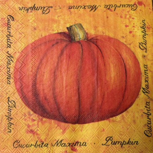 Servet Herfst - Herfst pompoen - H0016 - 33 x 33 cm