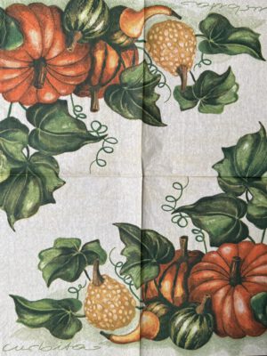 Servet Herfst - Herfst pompoen - H0017 - 33 x 33 cm