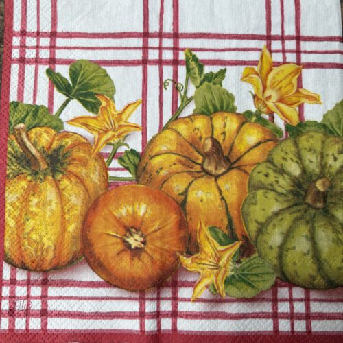 Corneeltje Wol - Servet - Herfst Pompoen - H0019 Servet Herfst - Herfst pompoenen - H0019 - 33 x 33 cm