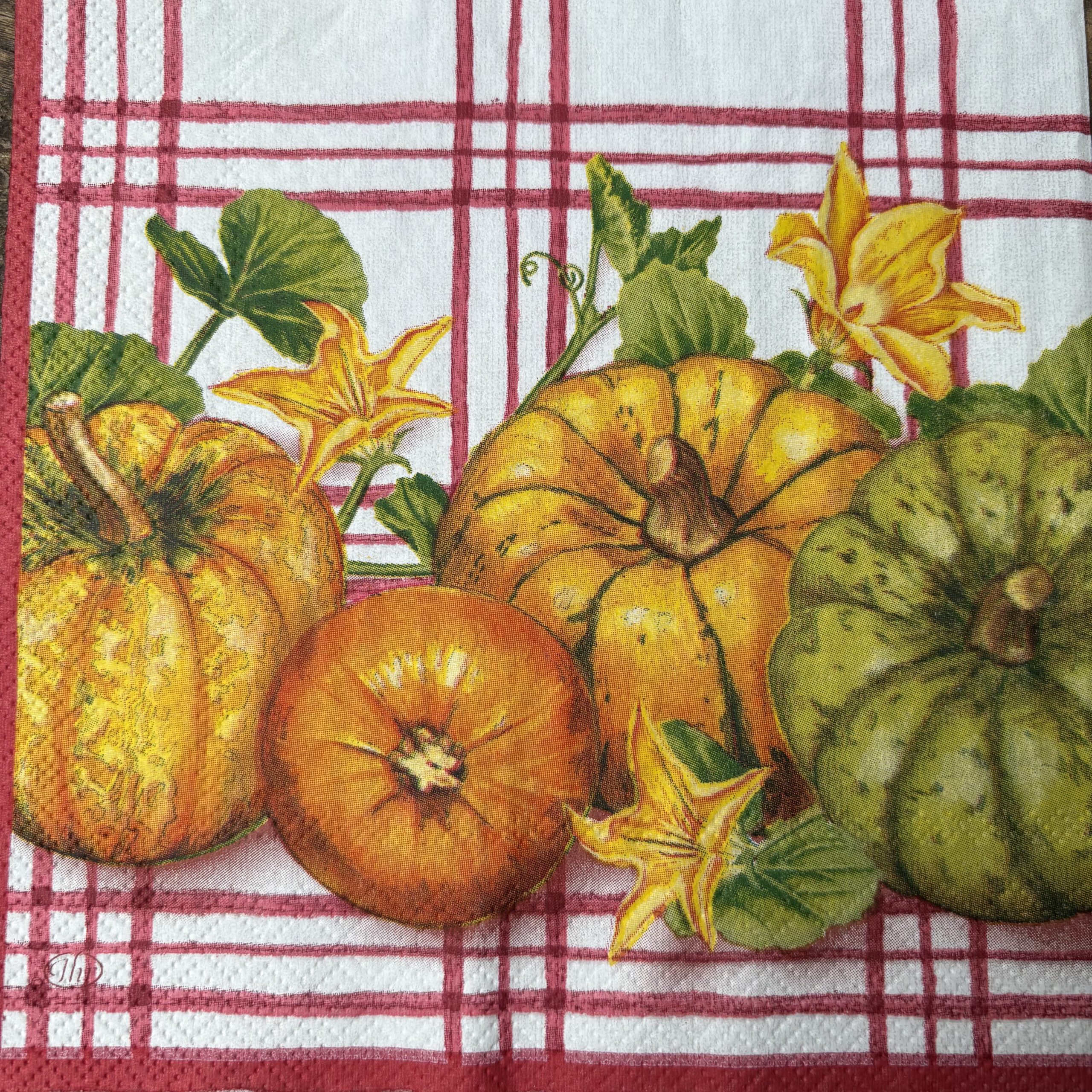 Corneeltje Wol - Servet - Herfst Pompoen - H0019 Servet Herfst - Herfst pompoenen - H0019 - 33 x 33 cm