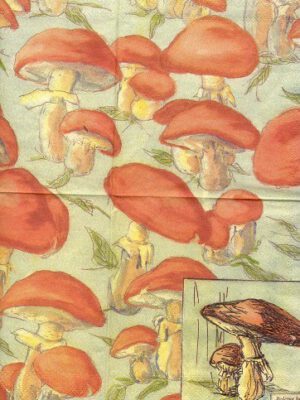 Corneeltje Wol - Servet - Herfst paddenstoelen - H0024 Servet Herfst - Herfst Paddenstoelen - H0023 - 33 x 33 cm