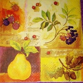 Corneeltje Wol - Servet - Herft - H0025 Servet Herfst - Herfst Fruit - H0024 - 33 x 33 cm