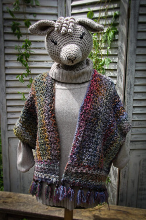 Haakpakket - Vestje Emotions