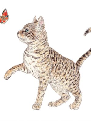 Servet Dieren - Kat met vlinder 33x33cm