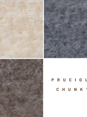 Corneeltje Wol - Precious Chunky- cover Precious Chunky