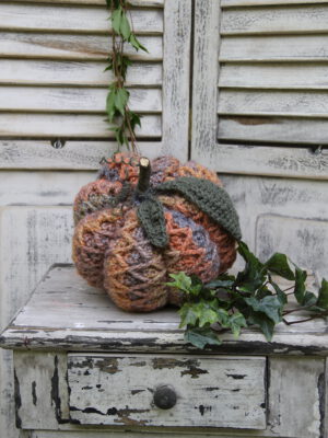 Haakpakket - Pompoen Reliëf MC 89