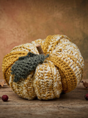 Corneeltje Wol - Pompoen Yellow Scandi Haakpakket - Pompoen Scandi Yellow M