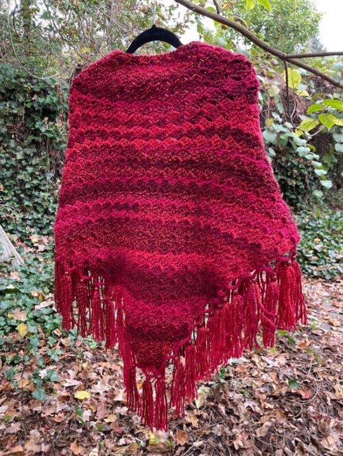 Haakpakket - Omslag Red Beauty