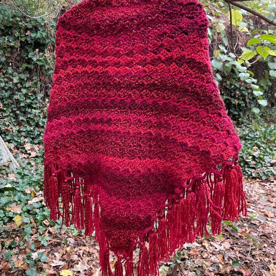 Haakpakket - Omslag Red Beauty