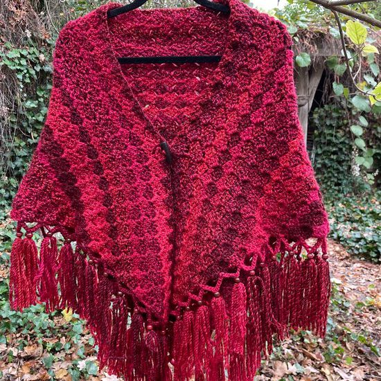 Haakpakket - Omslag Red Beauty