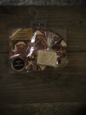 Corneeltje Wol - Paneel met amberblokje (beertjes) Kersthanger - Houten paneel met amberblokje (Beertjes) - Kant & Klaar