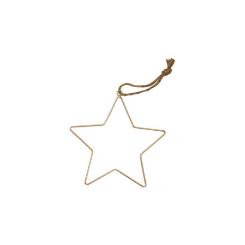 Corneeltje Wol - ster hanger goud 10 cm