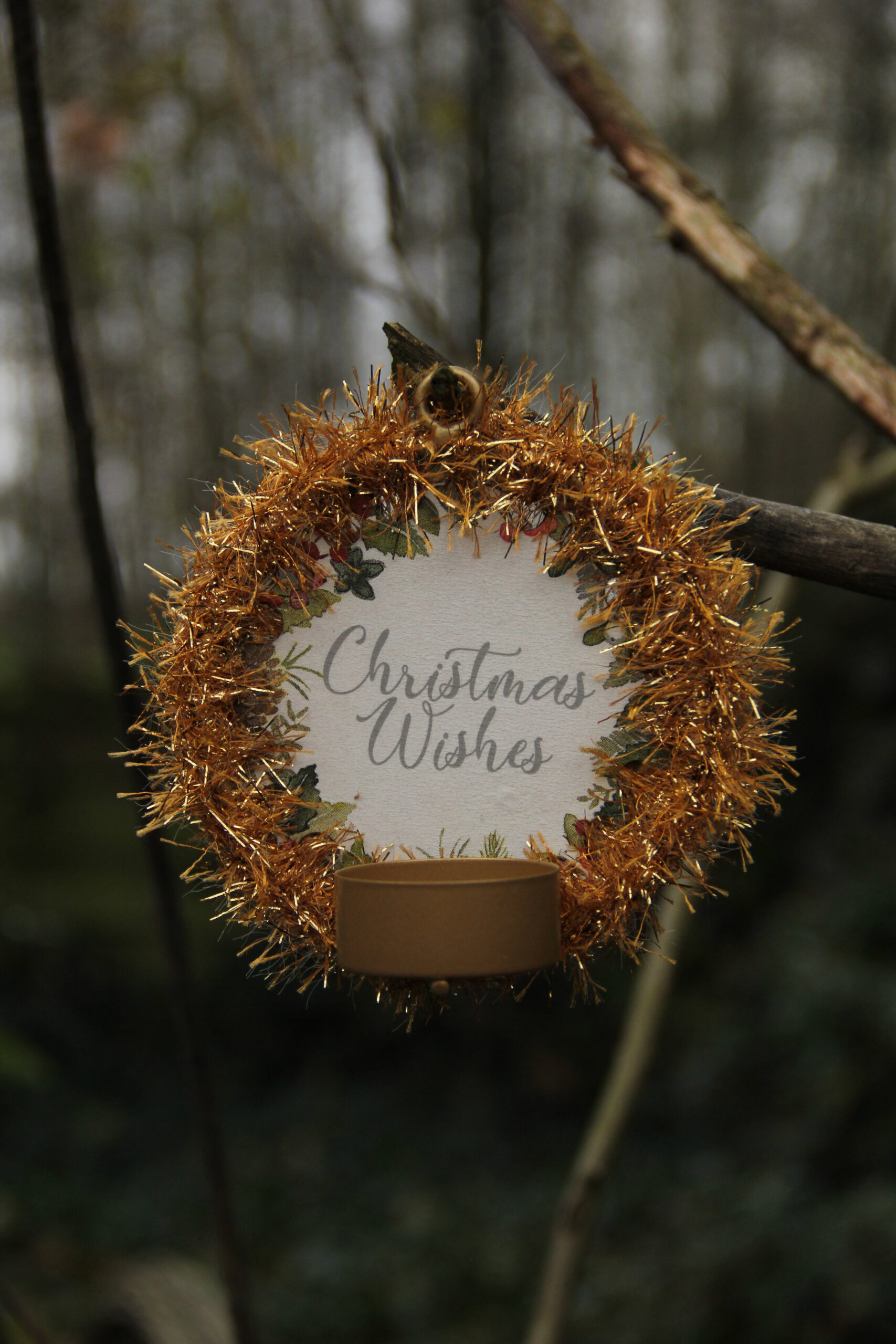 Corneeltje Wol - Cosy Light Christmas Wishes