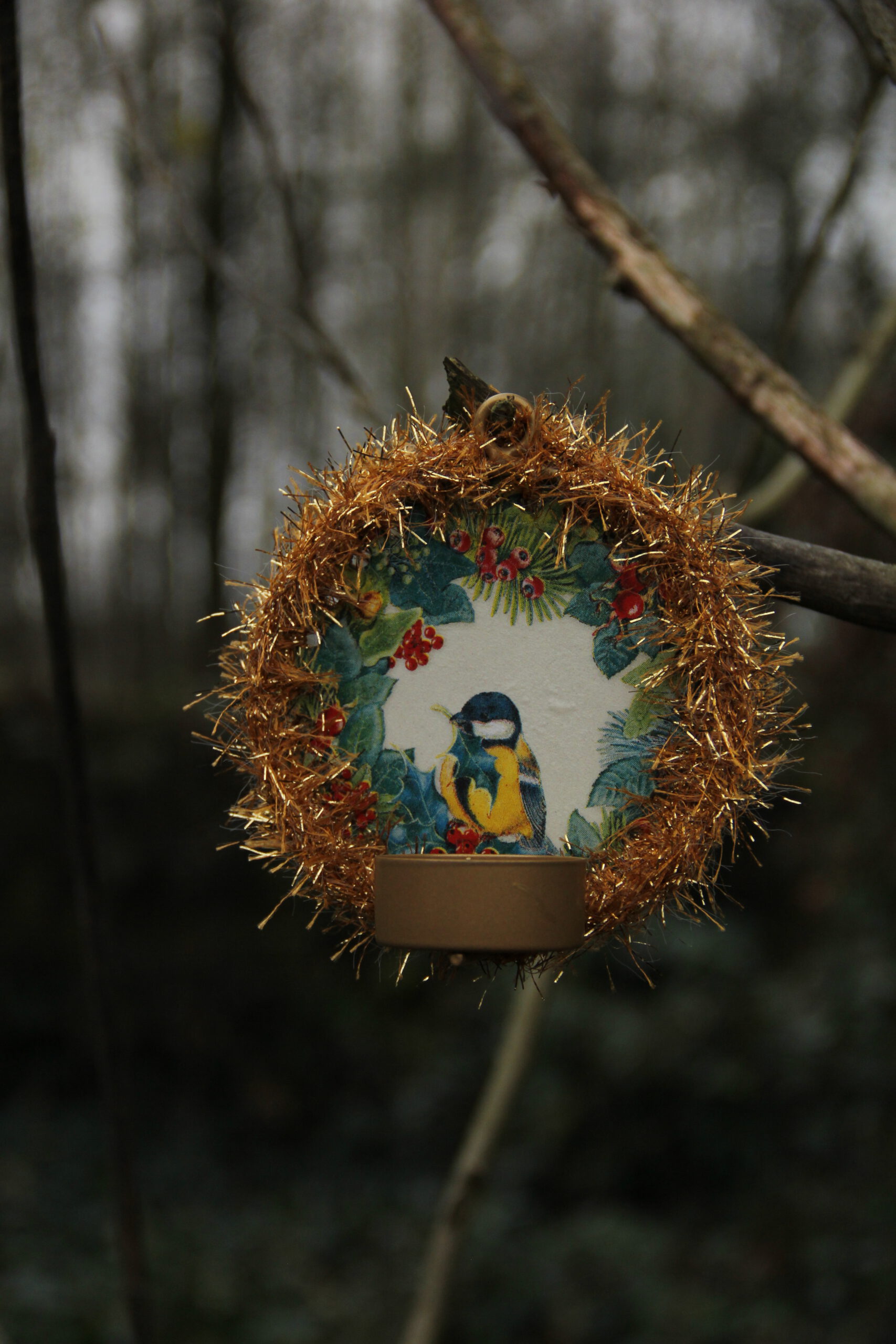 Corneeltje Wol - Cosy Light Koolmees