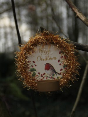 Corneeltje Wol - Cosy Light Christmas Wishes