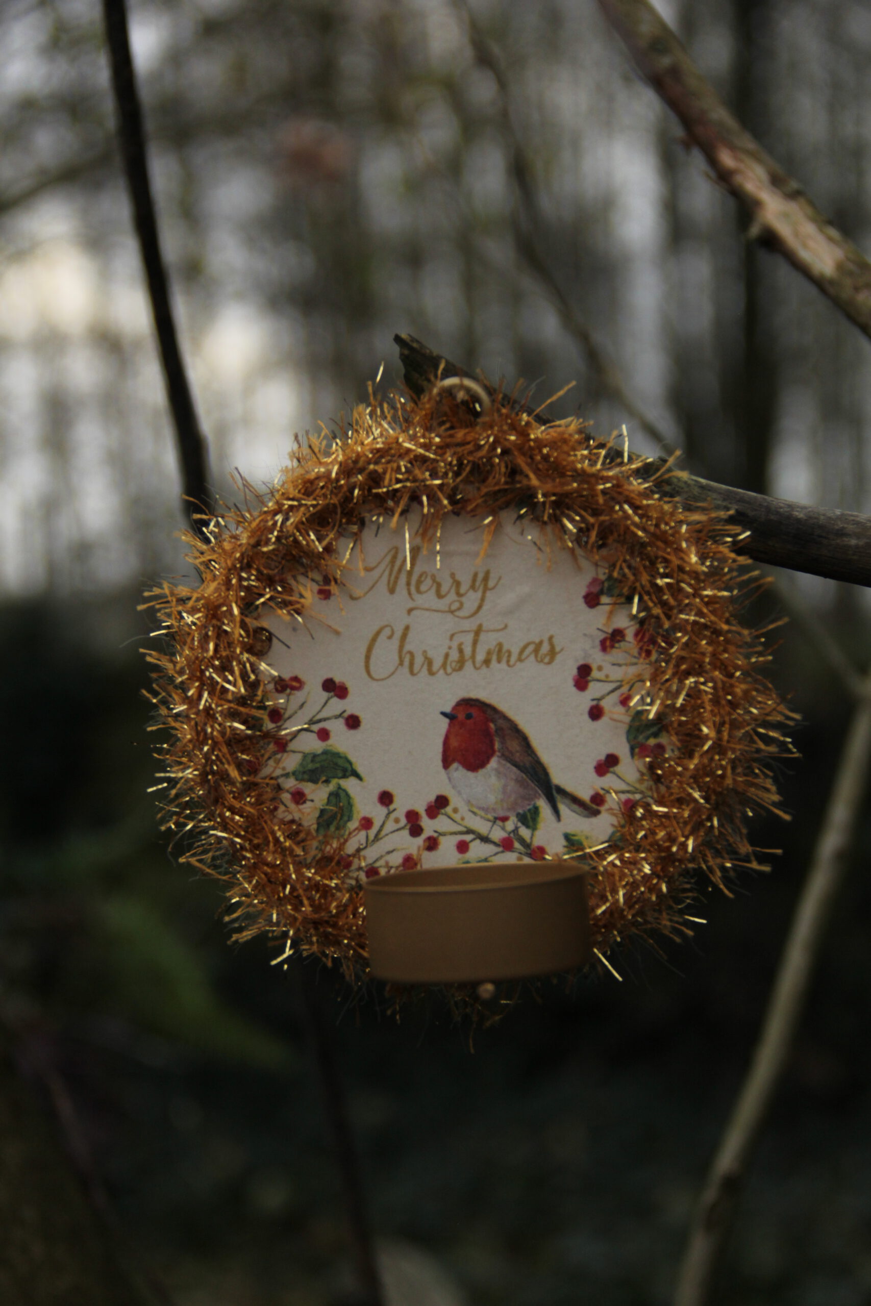 Corneeltje Wol - Cosy Light Christmas Wishes