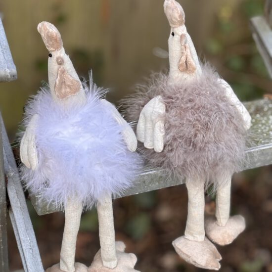 Corneeltje Wol - Bonte Kip