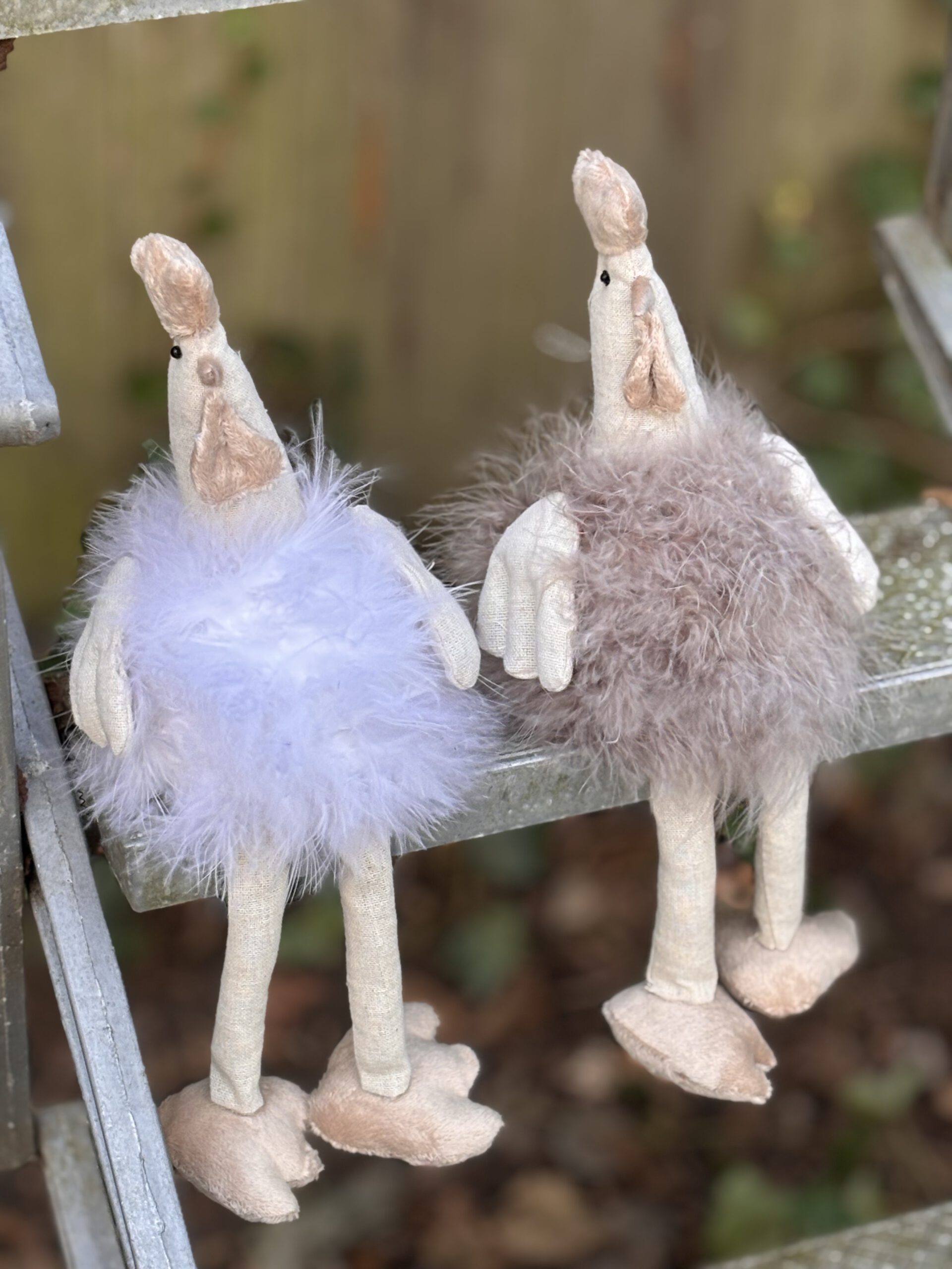 Corneeltje Wol - Bonte Kip