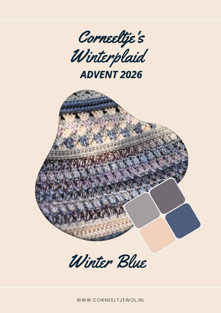 Advent Box - Plaid Winter Blue - Stoer & Stijlvol 64 - De Box