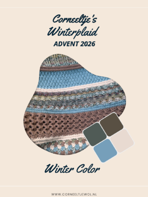 Advent Box - Plaid Winter Color - Stoer & Stijlvol 64 - De Box