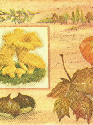 Servet Herfst collage 1 - 33x33 cm