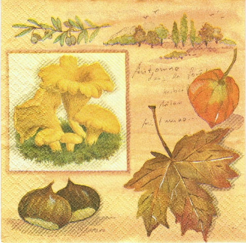Servet Herfst collage 1 - 33x33 cm