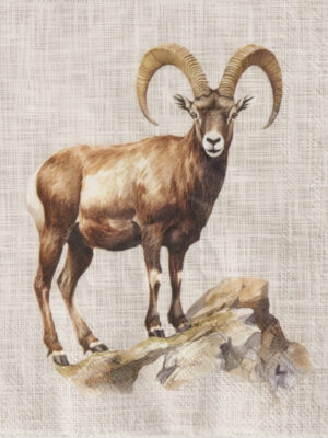 Servet Steenbok - 33x33 cm