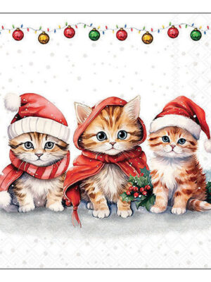 Servet Sweet Little Cats - 33x33 cm