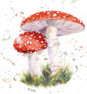 Servet Paddenstoelen 1 - 33x33 cm