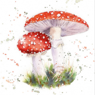 Servet Paddenstoelen 1 - 33x33 cm