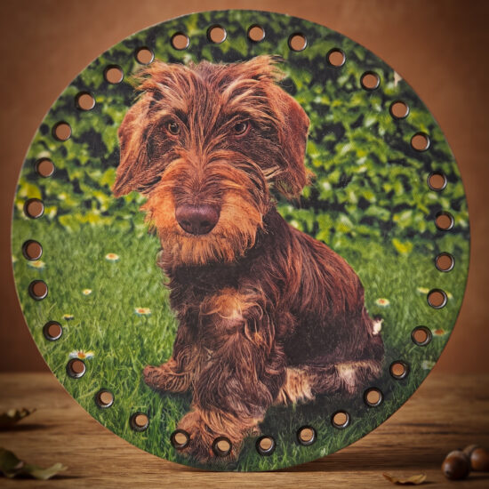Bedrukte Houten Paneel met boorgaten - Teckel | Rond | 15 cm doorsnede